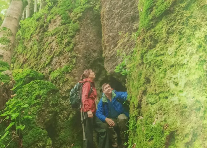 Lägenhet Waldesruh Hilscheid